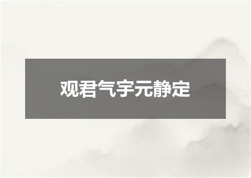 观君气宇元静定