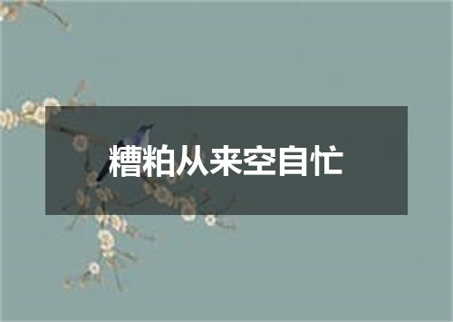 糟粕从来空自忙