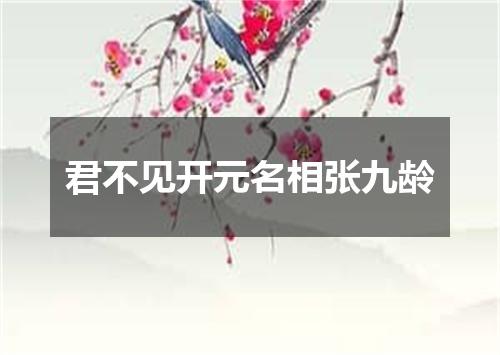 君不见开元名相张九龄