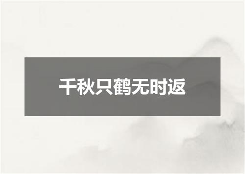 千秋只鹤无时返