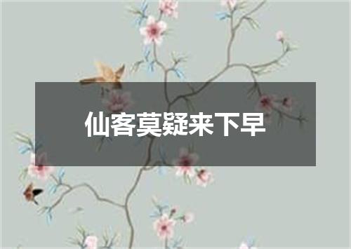 仙客莫疑来下早