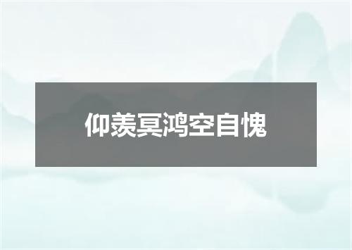 仰羡冥鸿空自愧