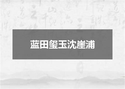 蓝田玺玉沈崖浦