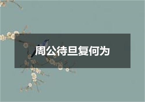 周公待旦复何为