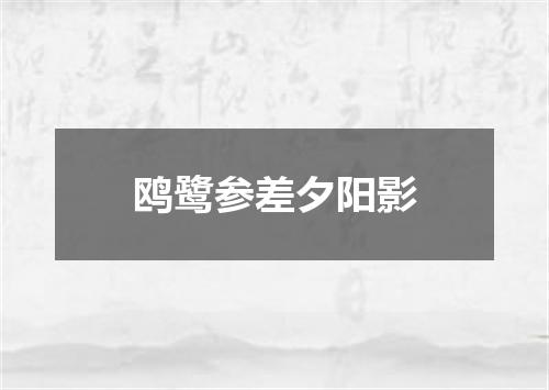 鸥鹭参差夕阳影