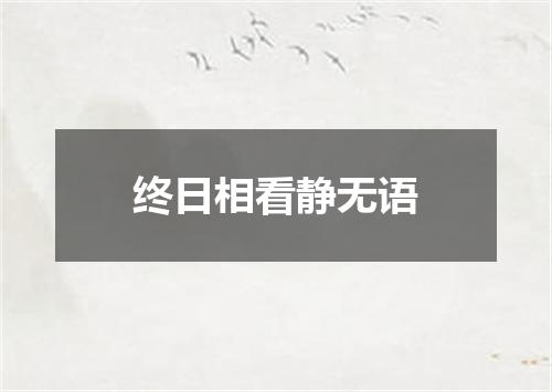 终日相看静无语