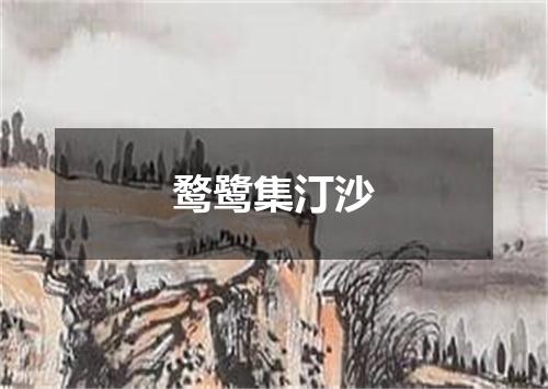 鹜鹭集汀沙