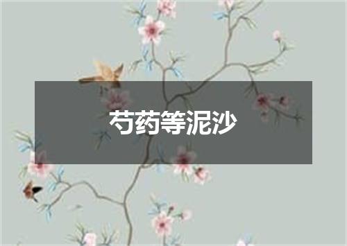 芍药等泥沙