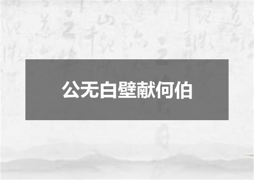 公无白壁献何伯