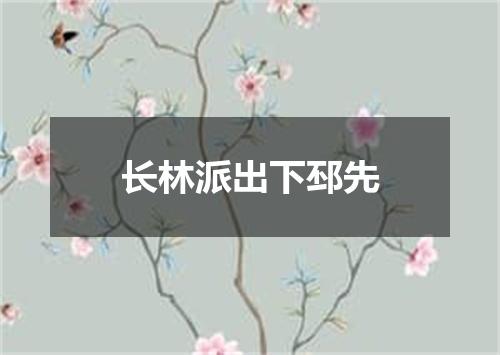 长林派出下邳先