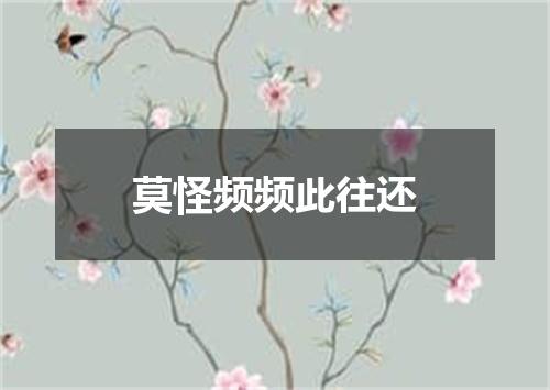 莫怪频频此往还