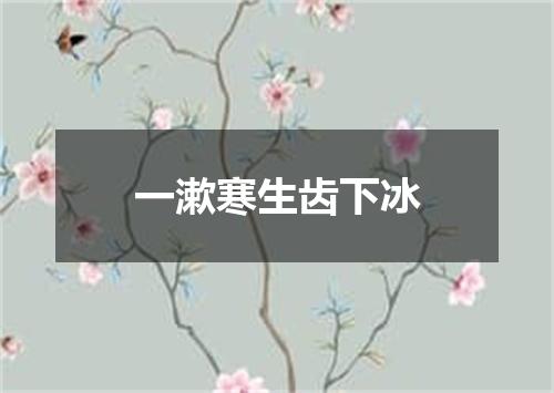 一漱寒生齿下冰