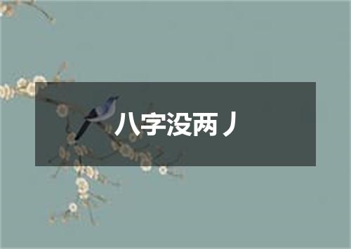 八字没两丿