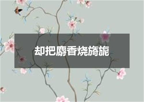 却把麝香烧旖旎