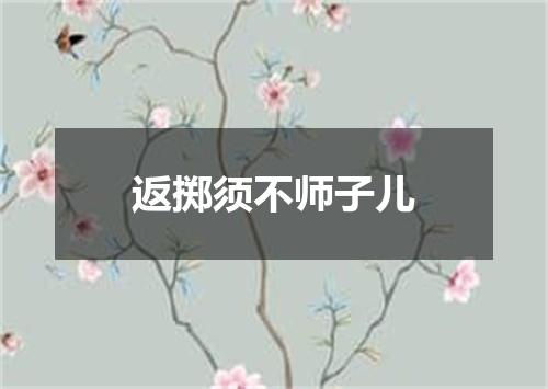 返掷须不师子儿