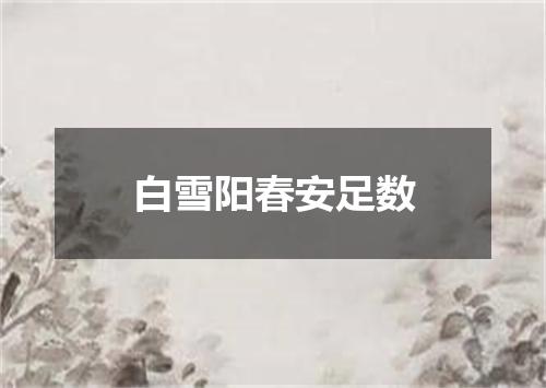 白雪阳春安足数