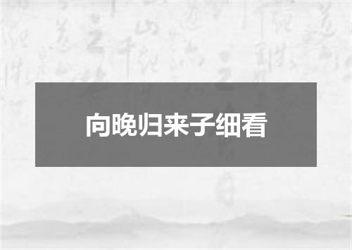 向晚归来子细看