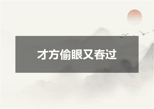 才方偷眼又春过