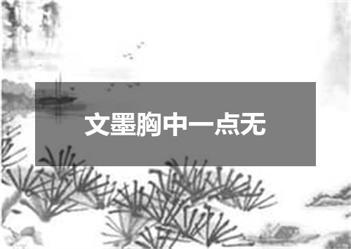 文墨胸中一点无