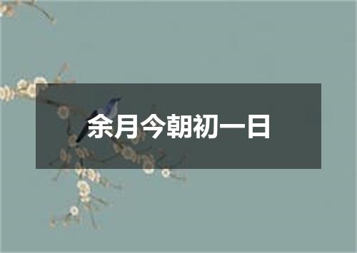 余月今朝初一日