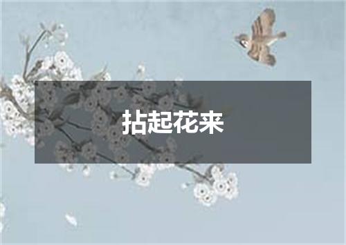 拈起花来