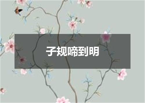 子规啼到明