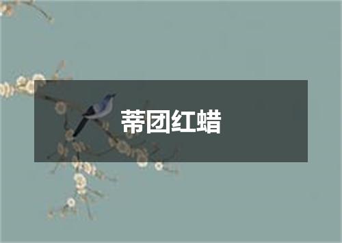 蒂团红蜡