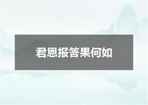 君恩报答果何如