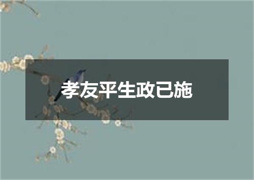 孝友平生政已施