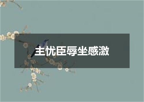 主忧臣辱坐感激