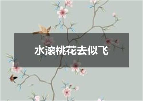 水滚桃花去似飞