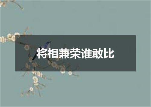 将相兼荣谁敢比