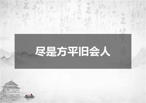 尽是方平旧会人