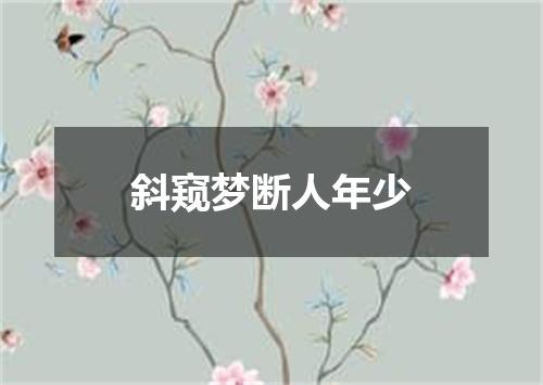 斜窥梦断人年少