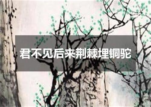 君不见后来荆棘埋铜驼