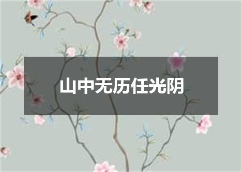 山中无历任光阴