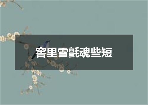 窖里雪氈魂些短