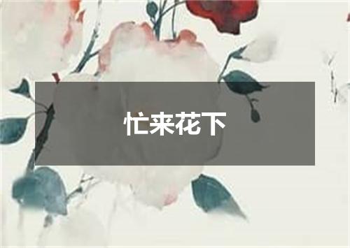 忙来花下