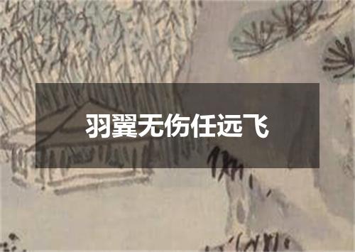 羽翼无伤任远飞