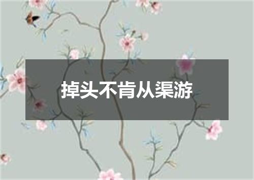 掉头不肯从渠游