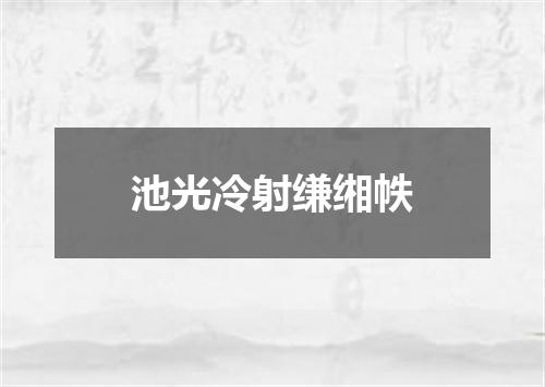 池光冷射缣缃帙