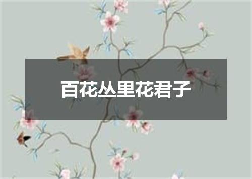 百花丛里花君子