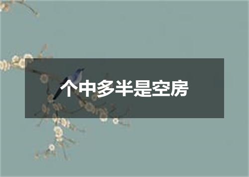 个中多半是空房