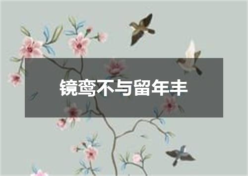 镜鸾不与留年丰