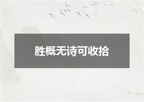 胜概无诗可收拾