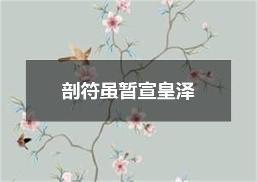 剖符虽暂宣皇泽