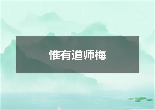 惟有道师梅