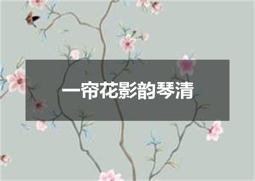 一帘花影韵琴清