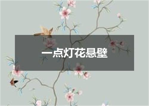 一点灯花悬壁