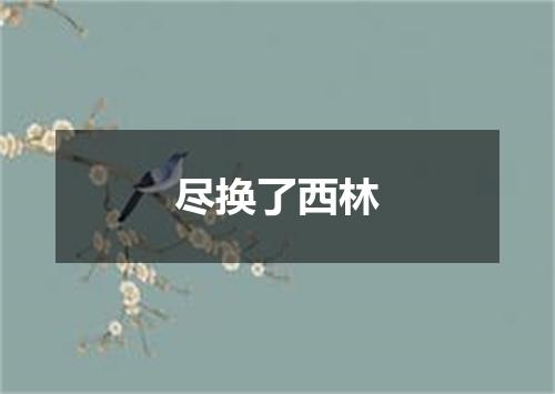 尽换了西林